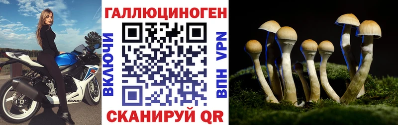 Галлюциногенные грибы GOLDEN TEACHER  сайты даркнета состав  Афипский 